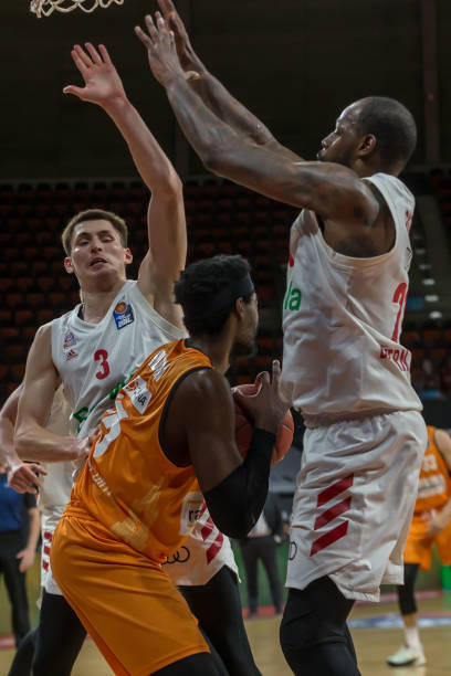 的金额不仅 的金额不仅